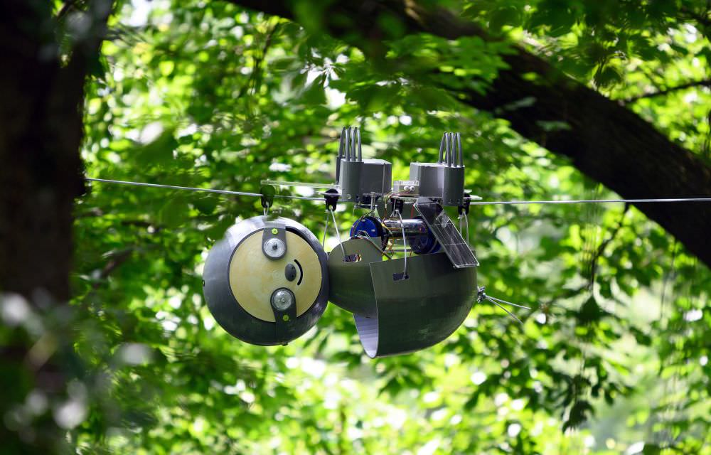 Slow-Moving SlothBot Hangs Around Monitoring Its Surroundings in Atlanta Botanical Garden