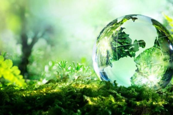 World Environment Day 2020: It's Time For Nature