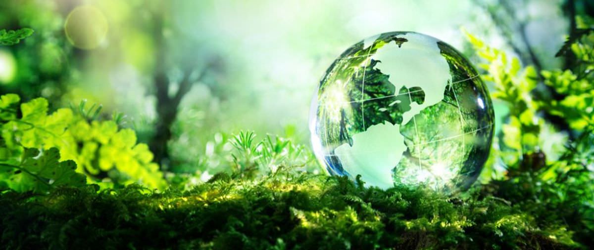 World Environment Day 2020: It's Time For Nature