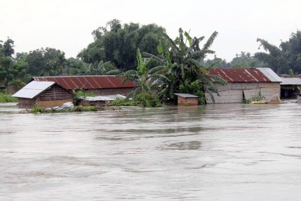 Assam Floods kill people and wildlife