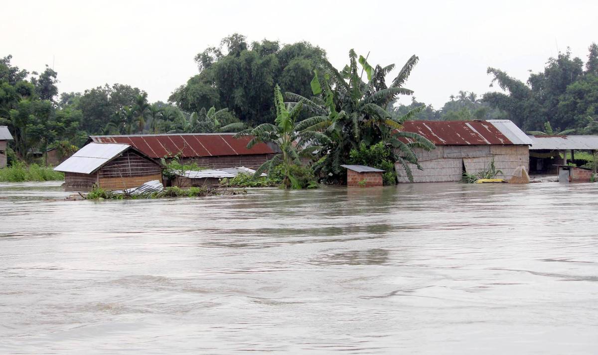 Assam Floods kill people and wildlife 