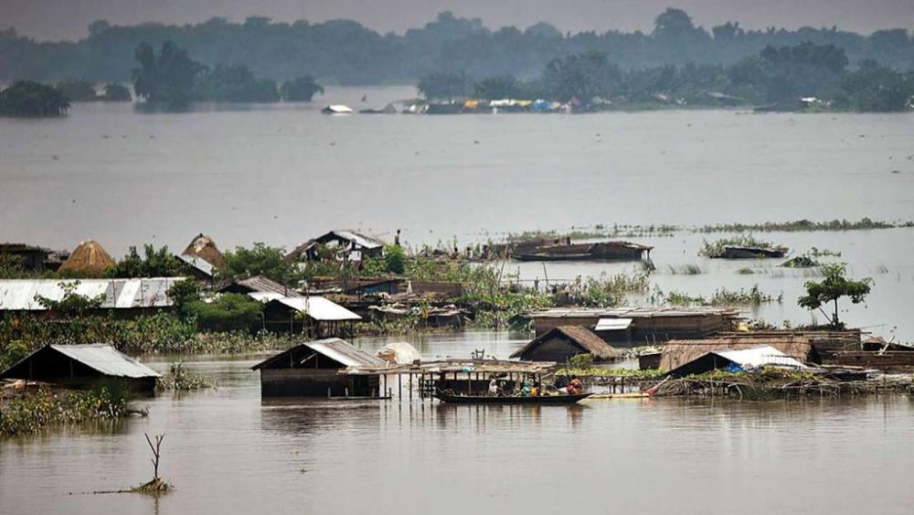 Assam Floods kill people and wildlife