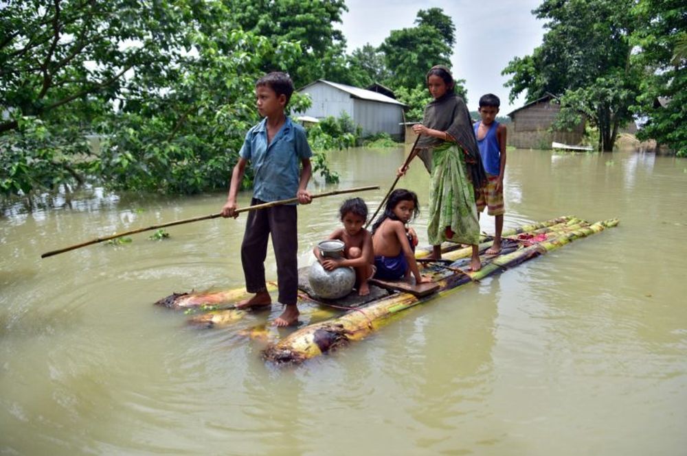 Assam Floods kill people and wildlife