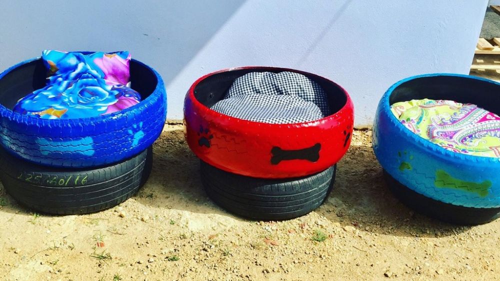 Creative Couple Upcycles Discarded Tires into Adorable Pet Beds