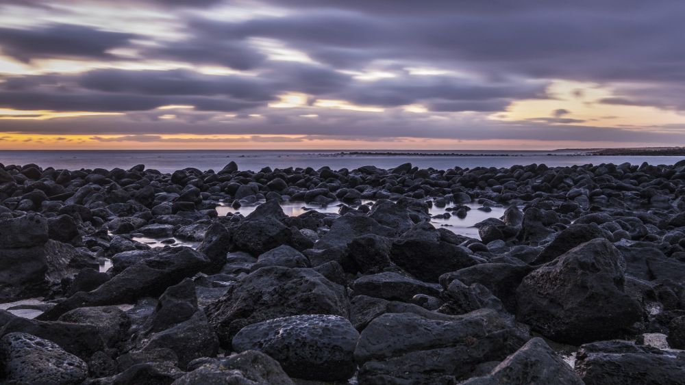 Galapagos Photography Competition 2020 Brings Stunning Photos of Wildlife