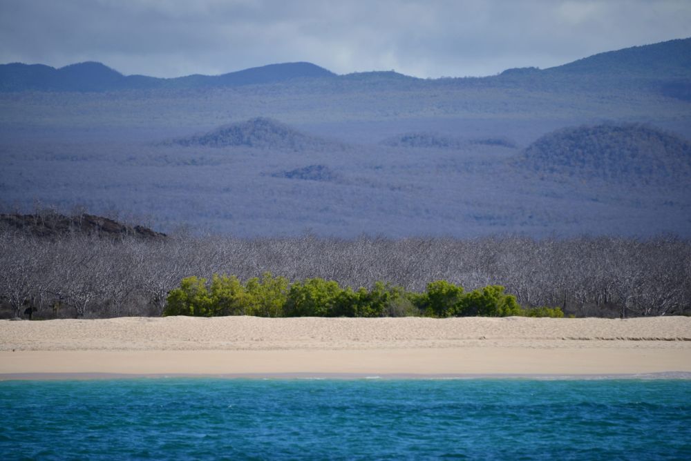 Galapagos Photography Competition 2020 Brings Stunning Photos of Wildlife