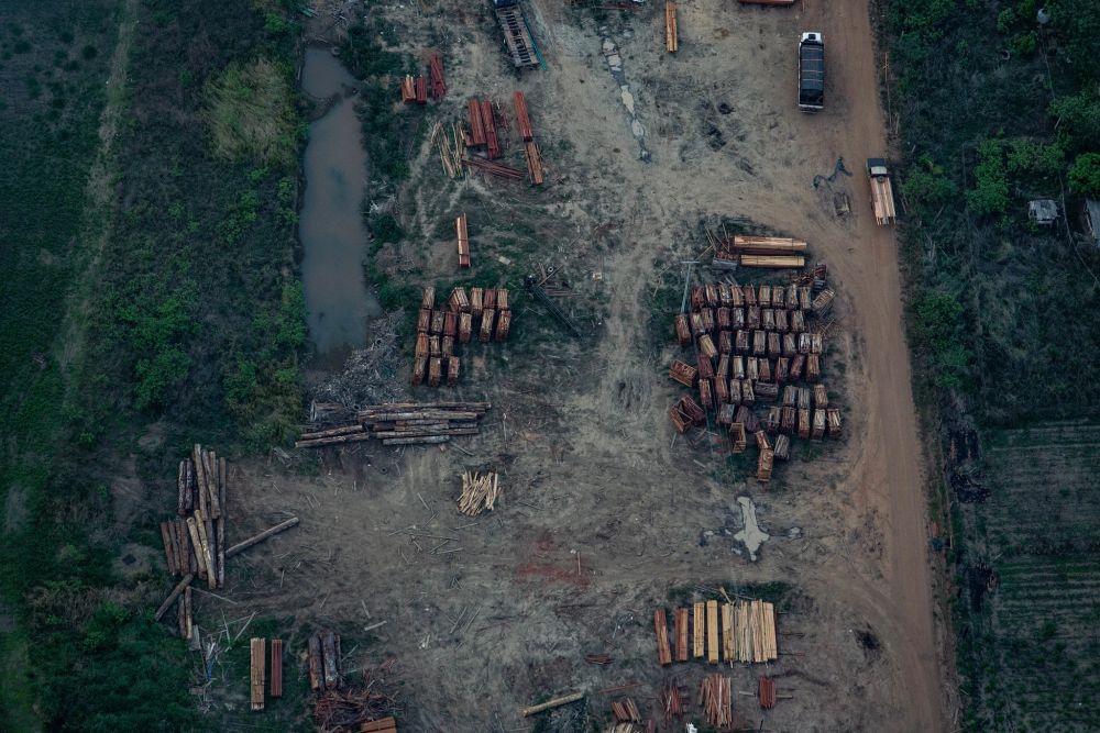 Illegal deforestation Escalates in Brazil’s Rainforests Amid Pandemic