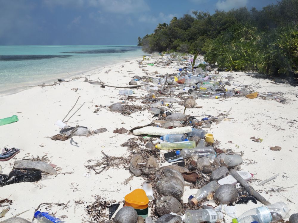 Maldives Registers Maximum Levels of Microplastics on the Planet