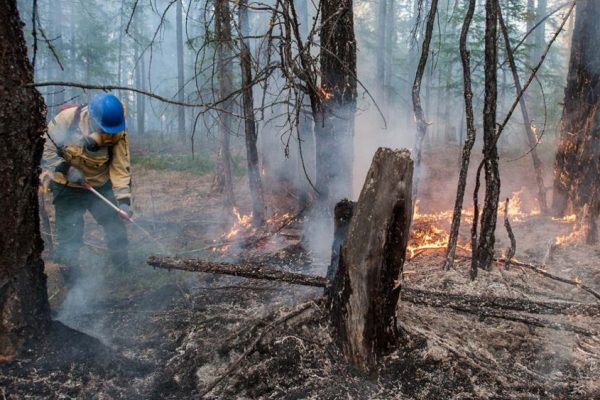 Wildfires are Polluting Drinking Water far dangerously than Expected