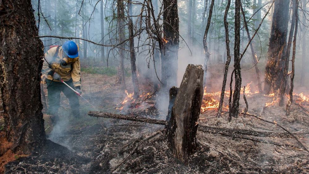 Siberian Heat Wave Triggers Wildfires and Ice Melts in the Arctic Region