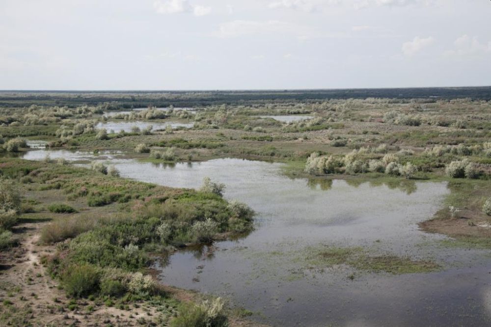 Man-Made Biodiversity Destruction May Take Millions of Years to Recover