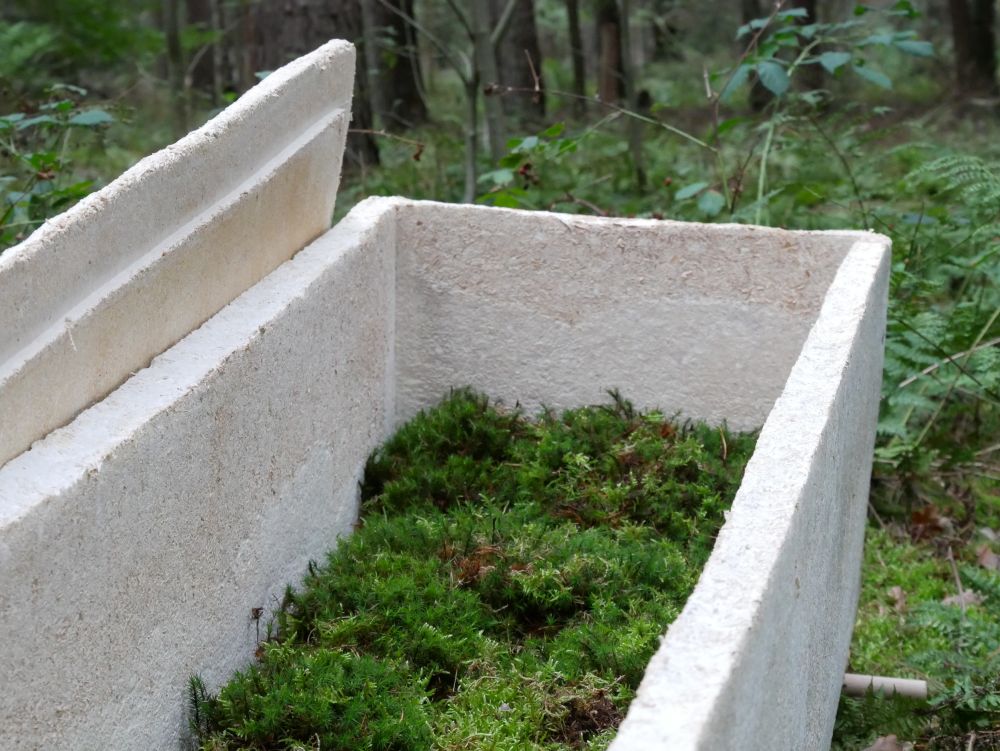 Living Cocoon is Decomposable Coffin Made from Mushroom Mycelium