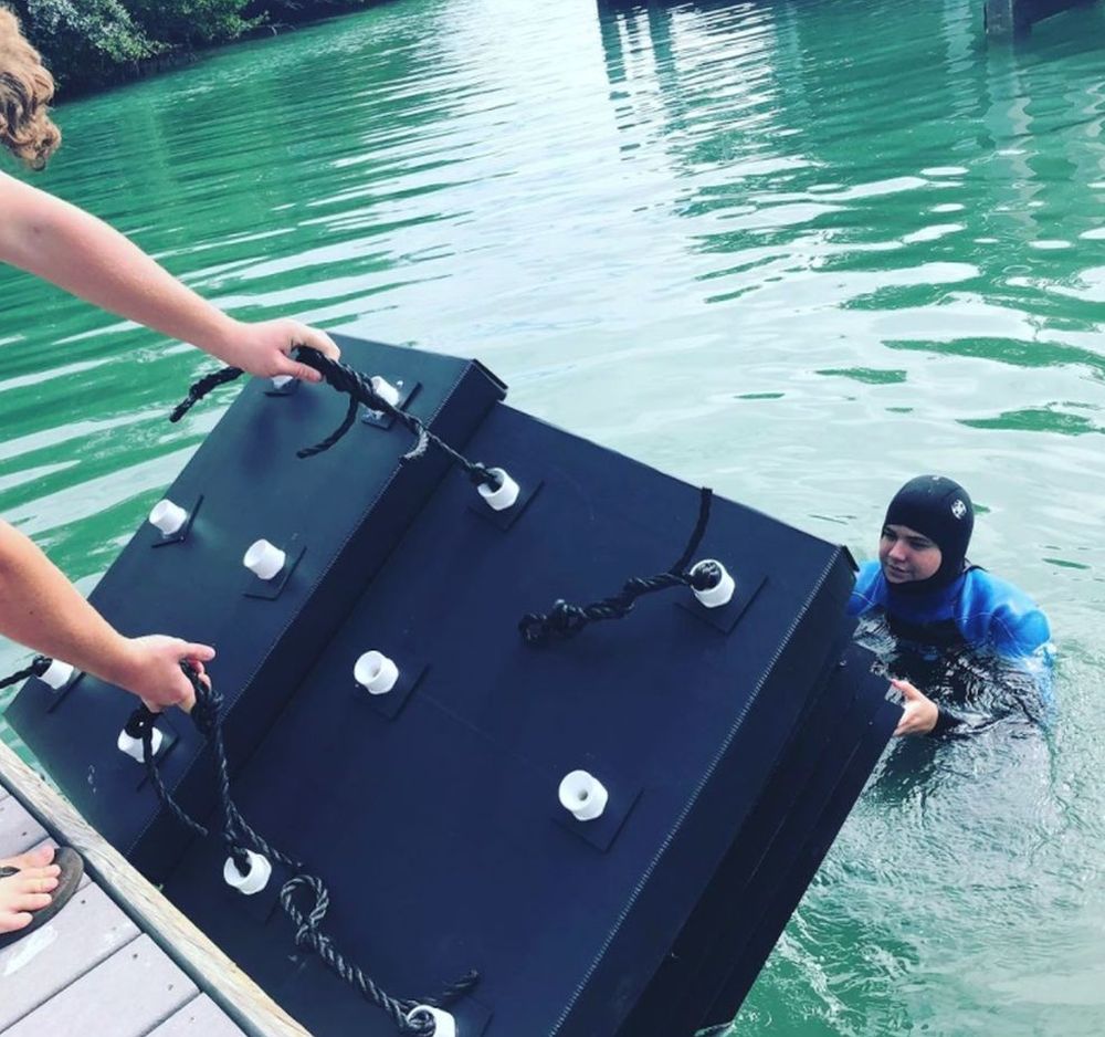 Ocean Habitats' Mini Reef Technology to Increase Vitality of Marine Life