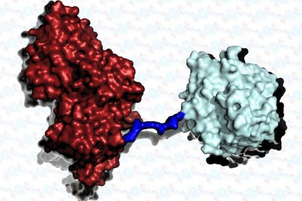 Scientists Develop a Super-Enzyme That Degrades Plastic Bottles Six Times Faster 