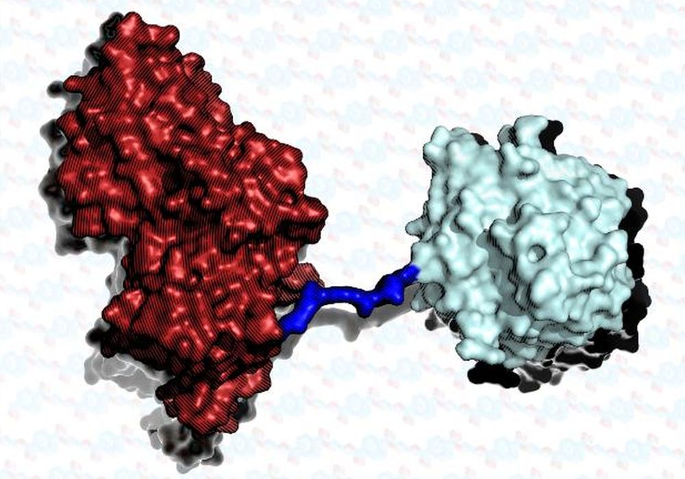 Scientists Develop a Super-Enzyme That Degrades Plastic Bottles Six Times Faster 