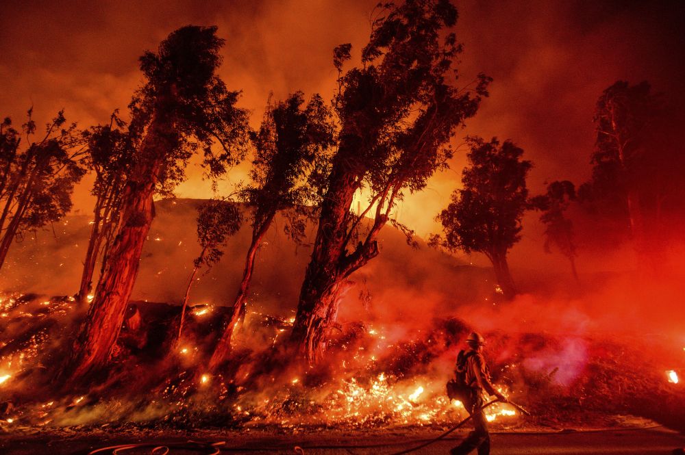 BUS Wildfires 2020 seem an Apocalyptic Event