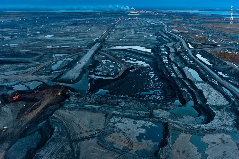 Wildlife Photographer of the Year 2020 Gives Gorgeous Glimpse of Natural World