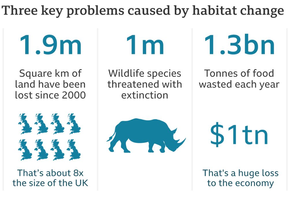 Wildlife Populations Across the World Are Declining Due to Human Intrusion