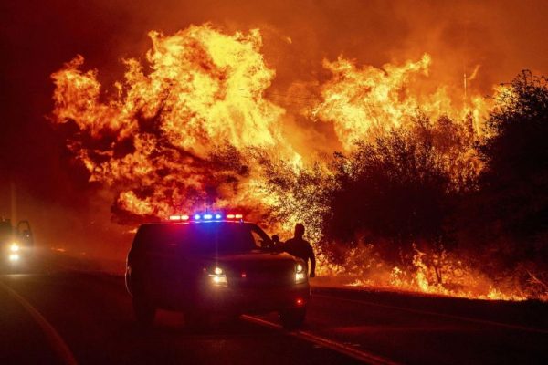 Blackened Forests and Charred Residents - US Wildfires 2020 seem an Apocalyptic Event