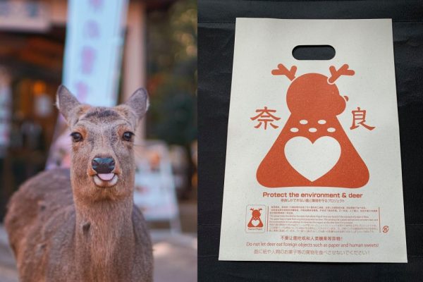 Japanese Man Invents Edible Bags to Protect Nara Deer from Choking on Plastic