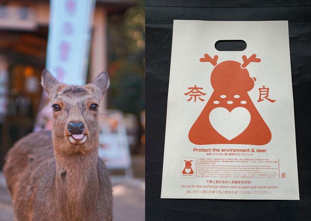 Japanese Man Invents Edible Bags to Protect Nara Deer from Choking on Plastic