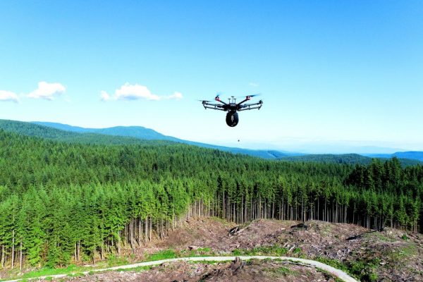 Flash Forest’s Tree-Planting Drones to Help in Automate Reforestation