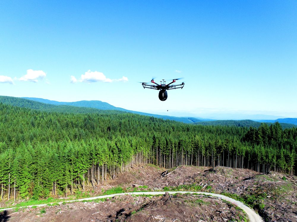Flash Forest’s Tree-Planting Drones to Help in Automate Reforestation