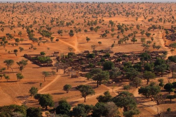NASA’s AI Tree Mapping Discovers Billions of Trees in Western Africa
