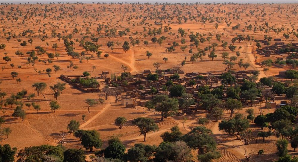 People in Ghana Plant 5 Million Trees To Fight Deforestation