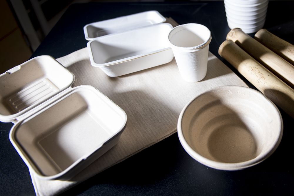 Biodegradable Food Containers Made from Plant Fibers Could Replace Single-Use Takeout Utensils