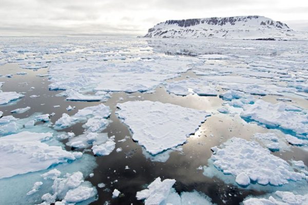 Changing Climate is Drastically Transforming Arctic in Warmer Region