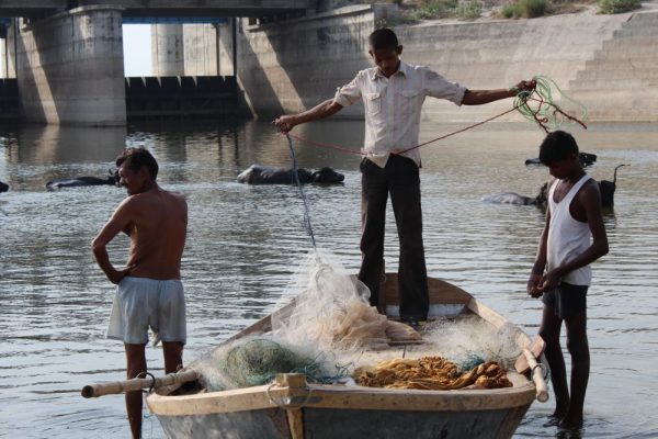 Discarded Fishing Nets Threaten Wildlife in River Ganges