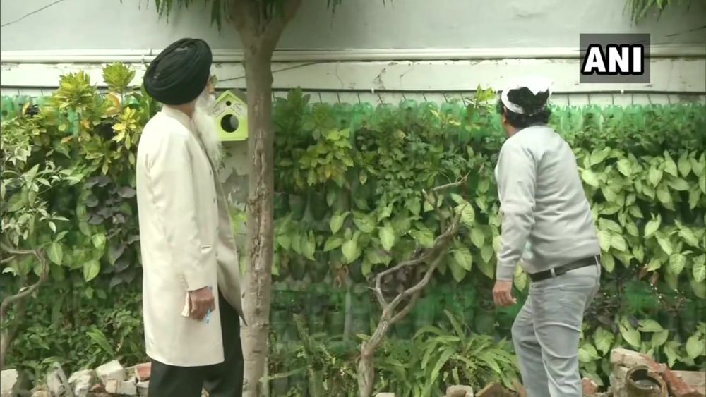 Ludhiana IRS Officer Creates Vertical Garden with Discarded Plastic Bottles
