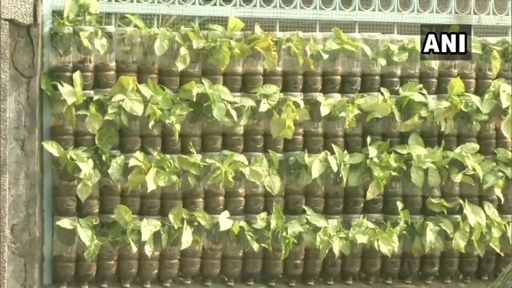 Ludhiana IRS Officer Creates Vertical Garden with Discarded Plastic Bottles