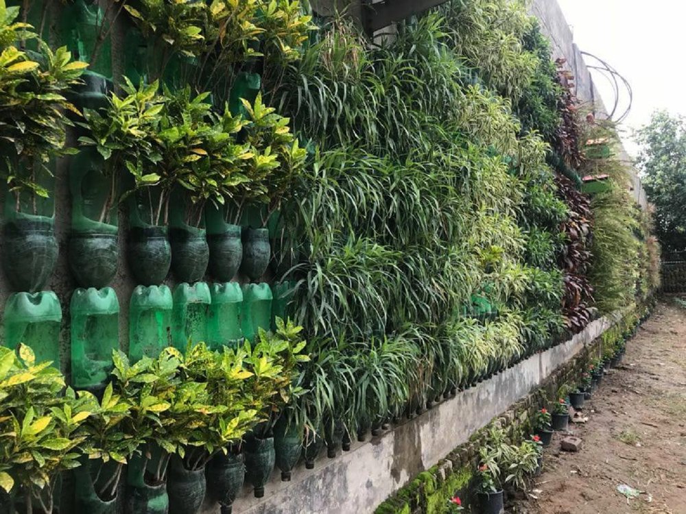 These Individuals are Planting Urban Gardens in Unused Spaces in India