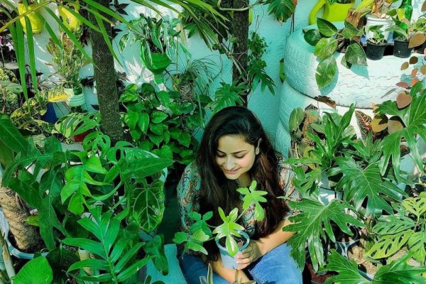 Sakshi Bharadwaj – Growing Rare Plants