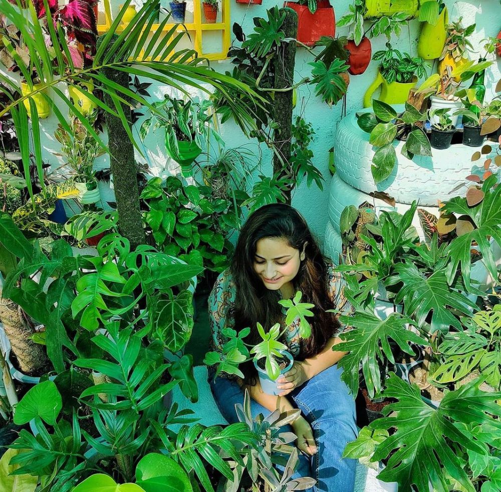 Sakshi Bharadwaj – Growing Rare Plants