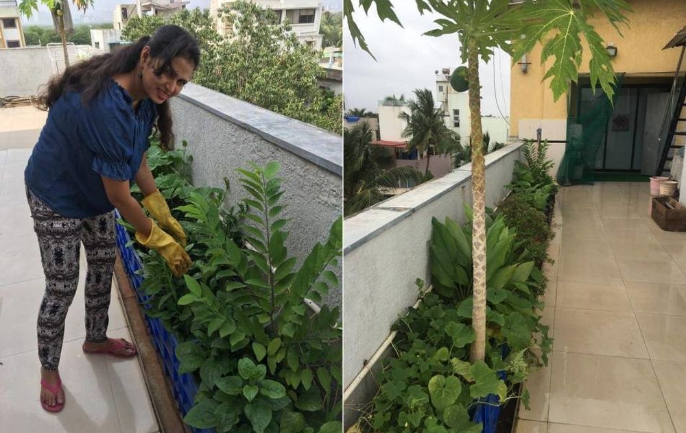 Reema Lewis - individuals planting urban gardens in India