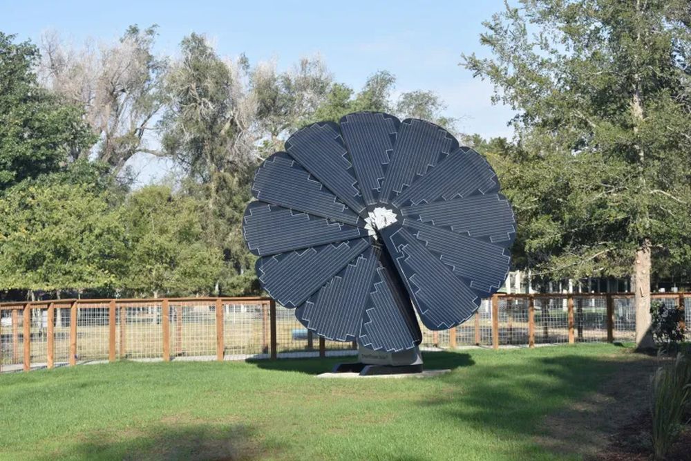 SmartFlower Solar Panel Unfurls like Flower, Follows Sun to Harness Energy