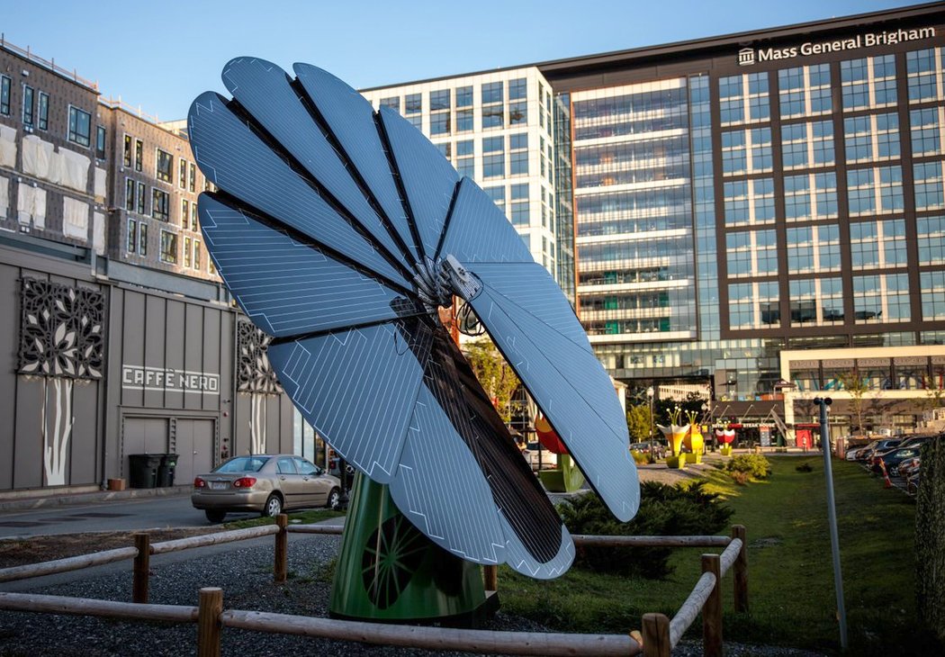 SmartFlower Solar Panel Unfurls like Flower, Follows the Sun!