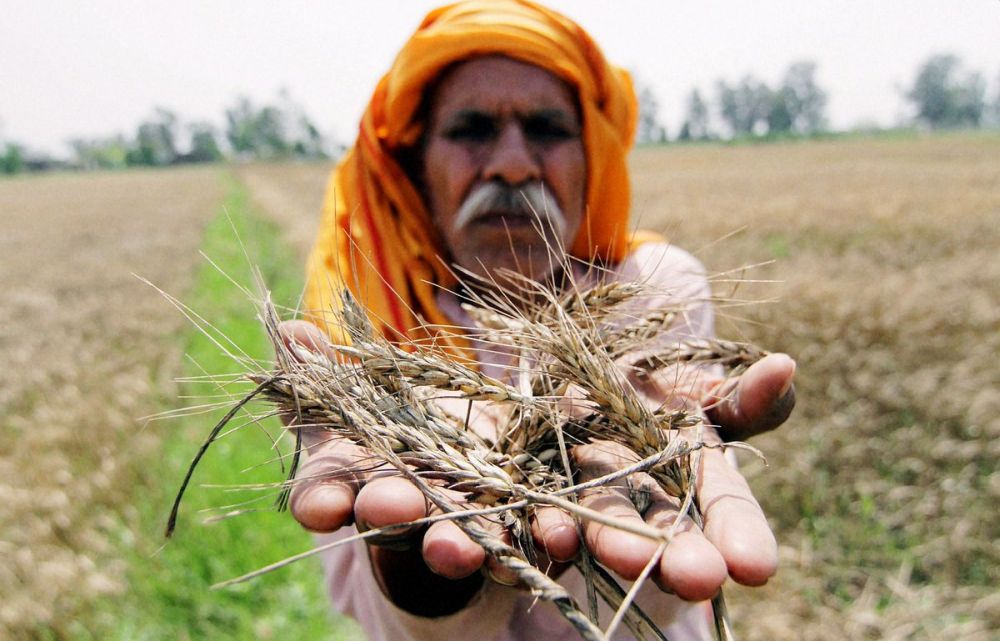 A Daunting Tale of India’s Food Security, Climate Change and Plight of the Farmers