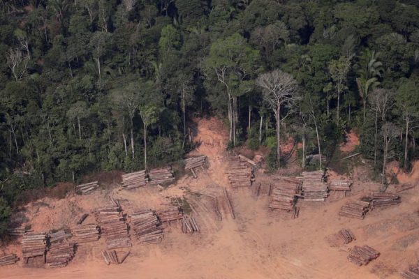 Daunting Amazon Forest Cover Loss in 2020 is the Size of Israel