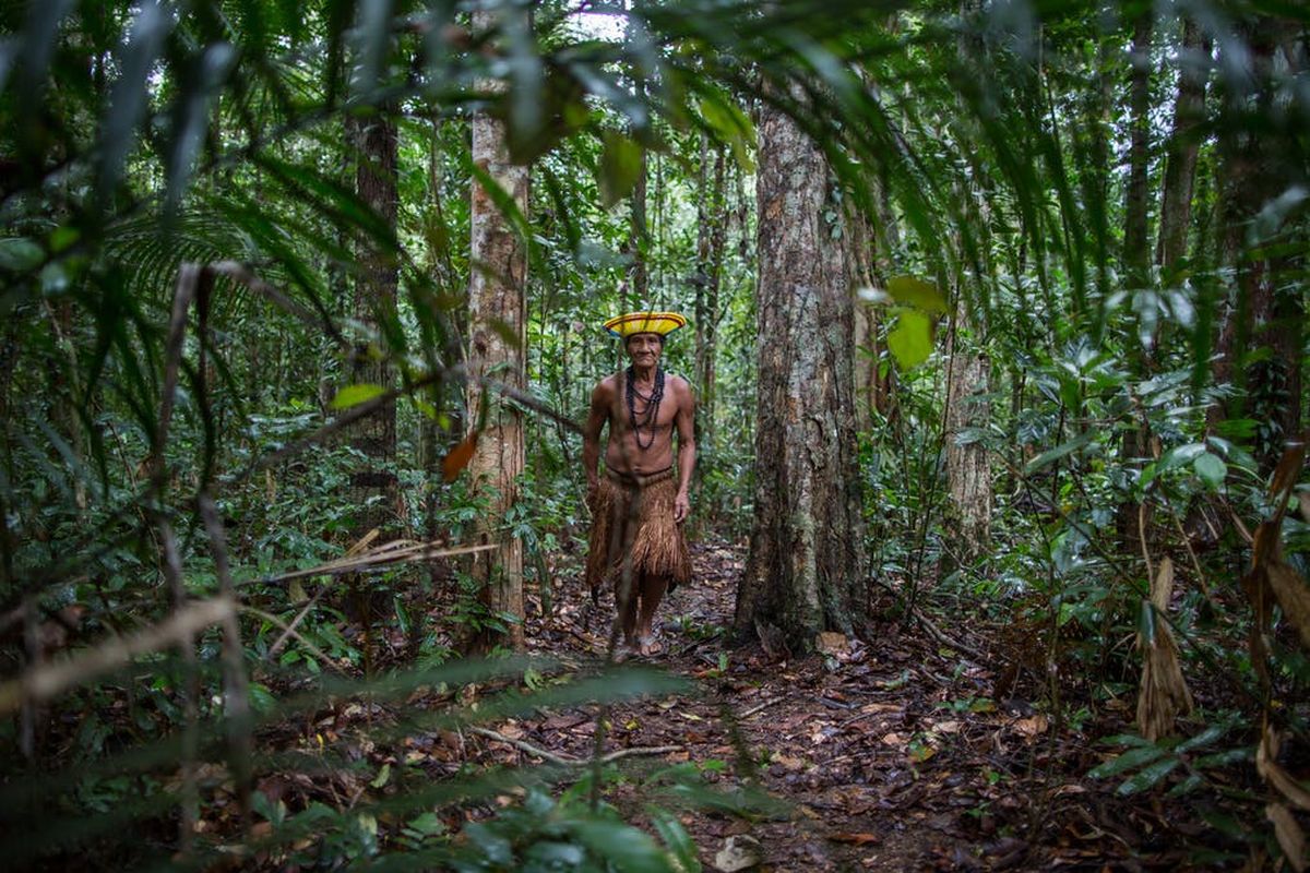 Stewards of Biodiversity: How Can Indigenous Tribes Help in Wildlife Conservation? 