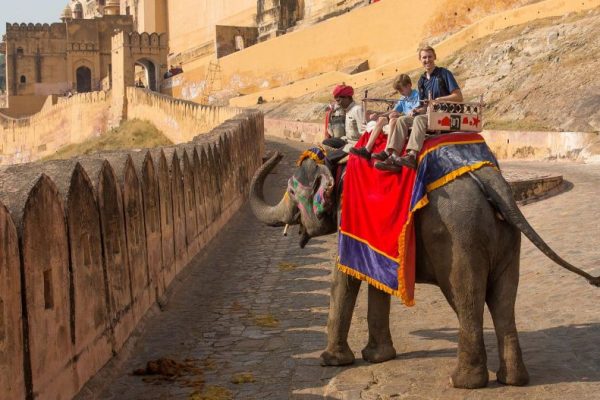Rajasthan Government Orders to Remove Unfit Elephants from Amer Fort