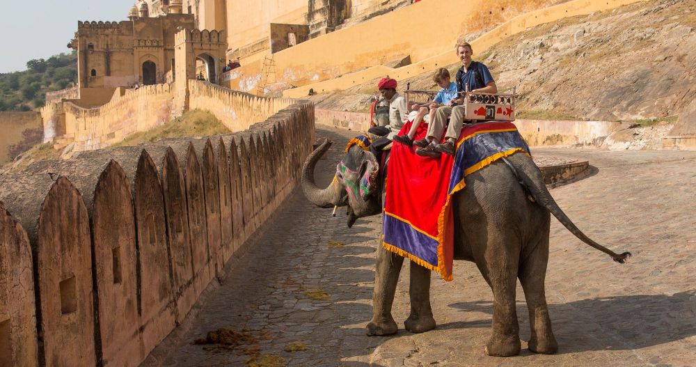 Rajasthan Government Orders to Remove Unfit Elephants from Amer Fort