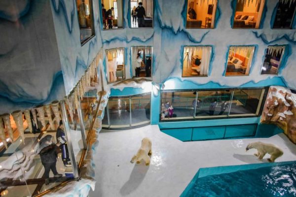 Chinese Hotel with Polar Bear Enclosure Draws Worldwide Criticism