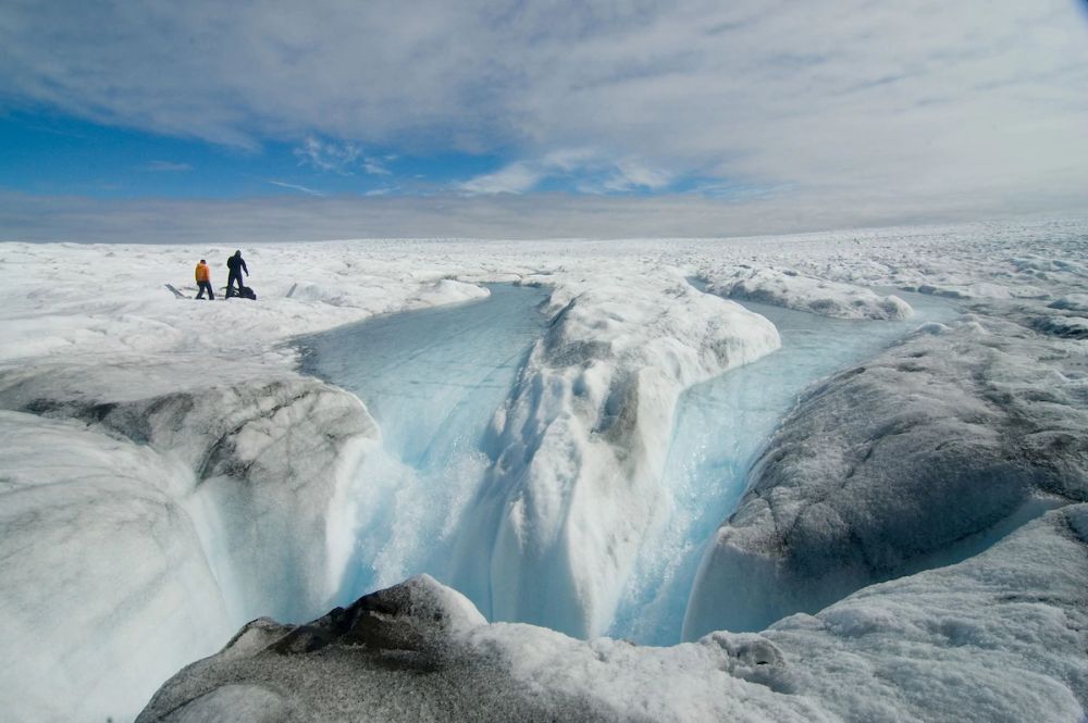 Scientists Discover Million Years Old Fossilized Plants beneath Greenland Ice Sheet