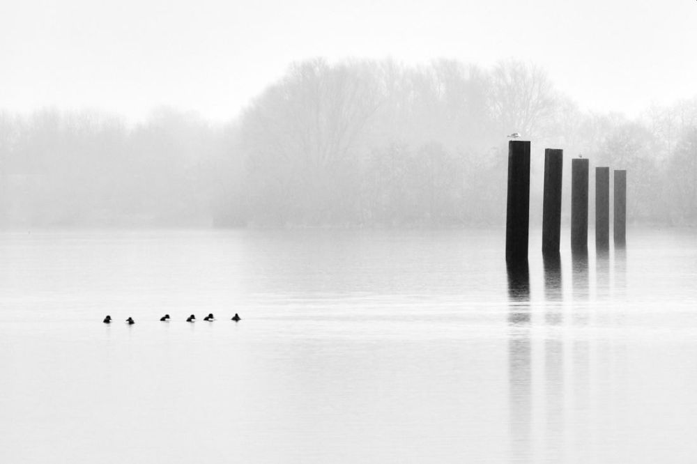 Black and White Minimalist Photography Awards 2021