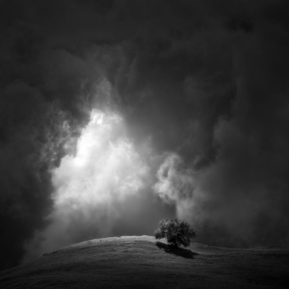 Black and White Minimalist Photography Awards 2021