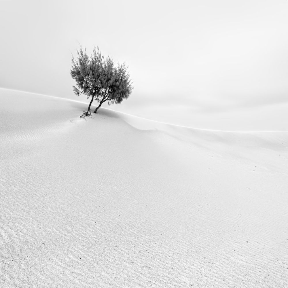 Black and White Minimalist Photography Awards 2021